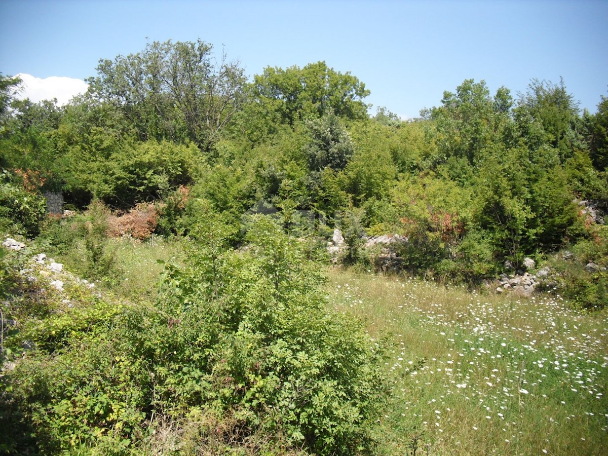 Terreno Kras, Dobrinj, 1.312m2