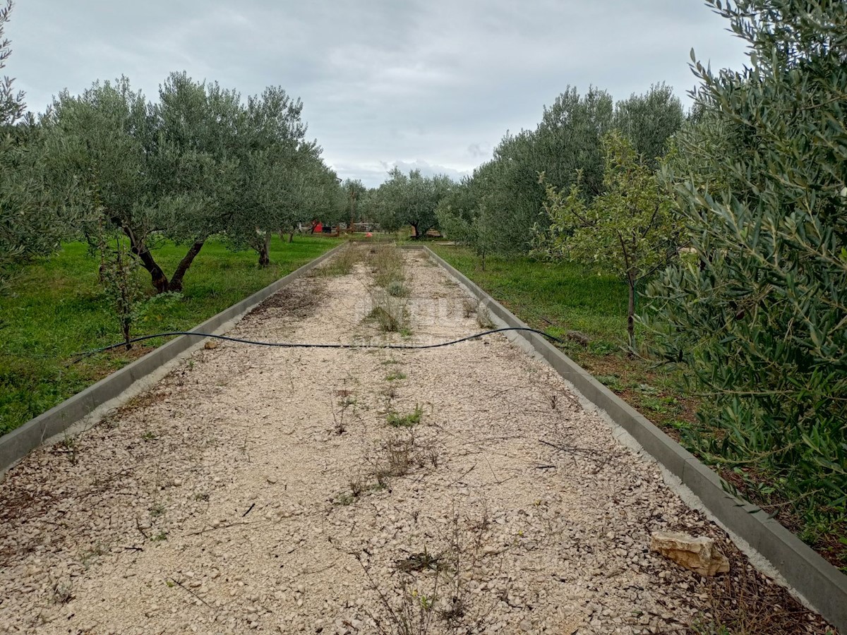 Terreno Raslina, Šibenik - Okolica, 28.748m2