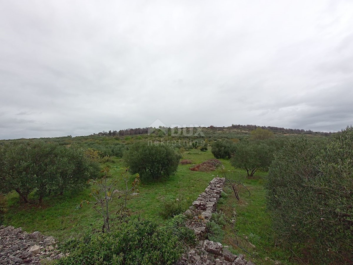 Terreno Raslina, Šibenik - Okolica, 28.748m2
