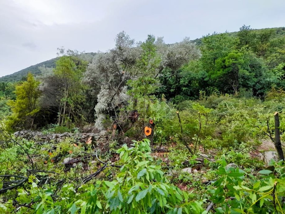 Terreno Rabac, Labin, 6.123m2