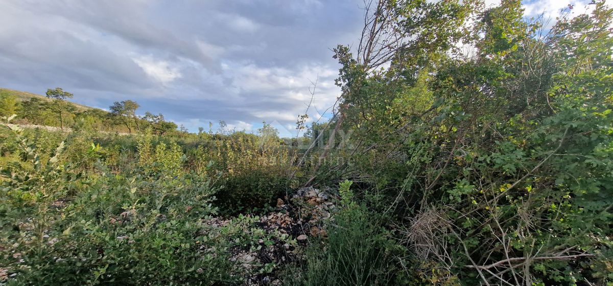 ISTRIA, LABIN (DINTORNI), Terreno edificabile con vista mare 4154 mq