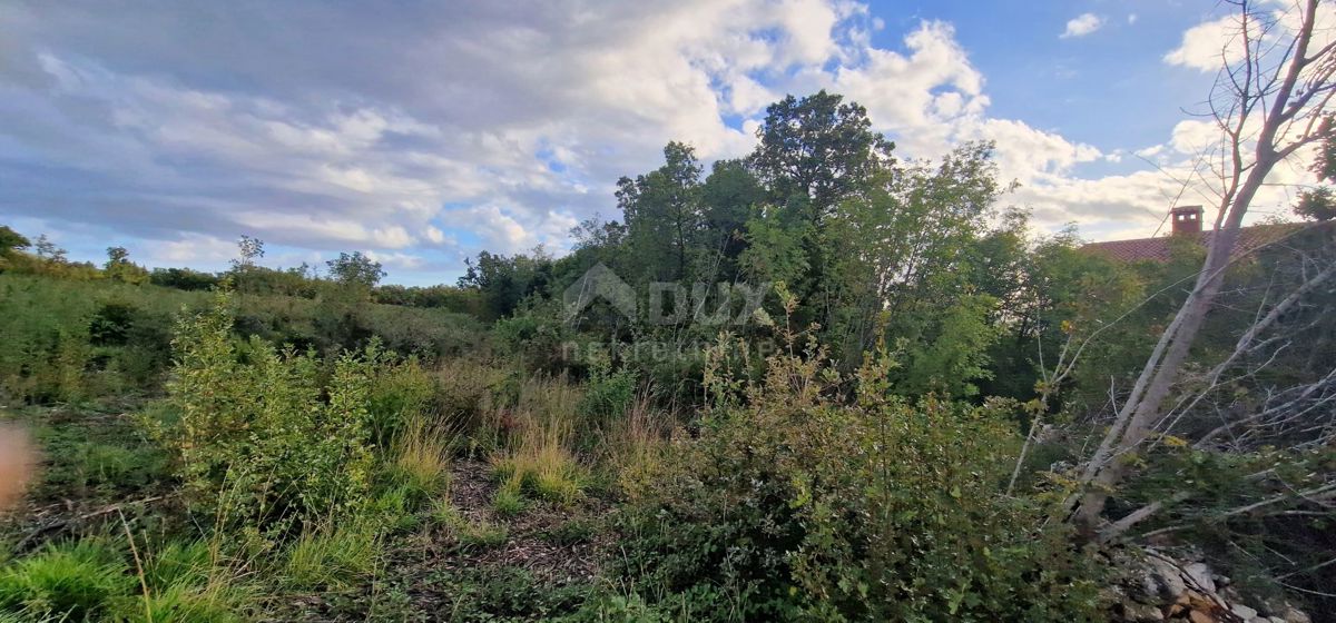 ISTRIA, LABIN (DINTORNI), Terreno edificabile con vista mare 4154 mq