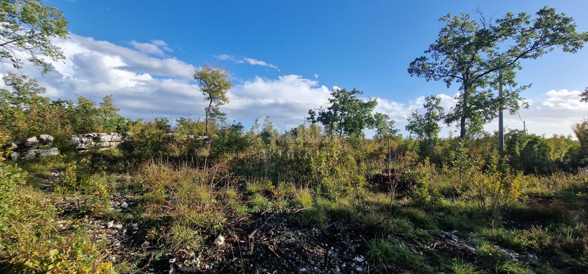 Terreno Labin, 1.036m2