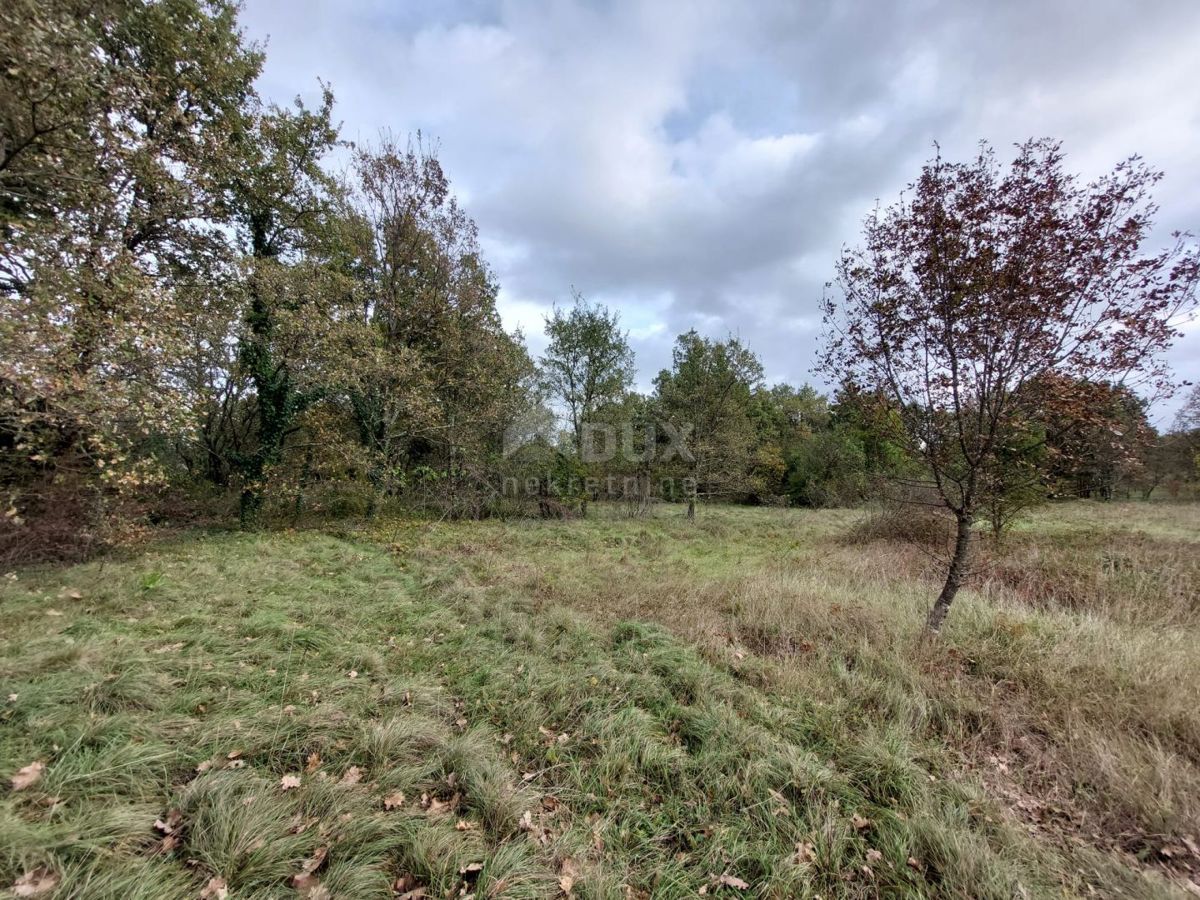 Terreno Labin, 12.476m2