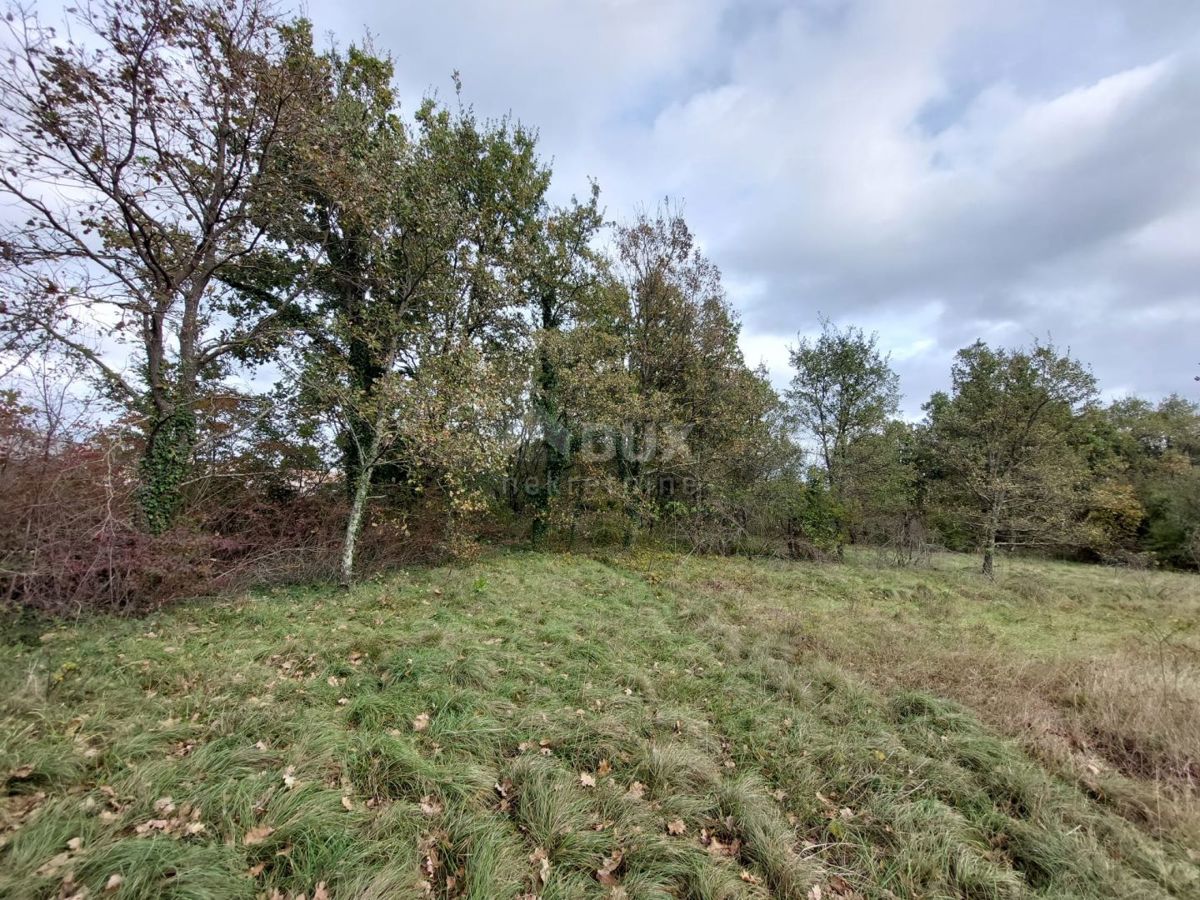 Terreno Labin, 12.476m2