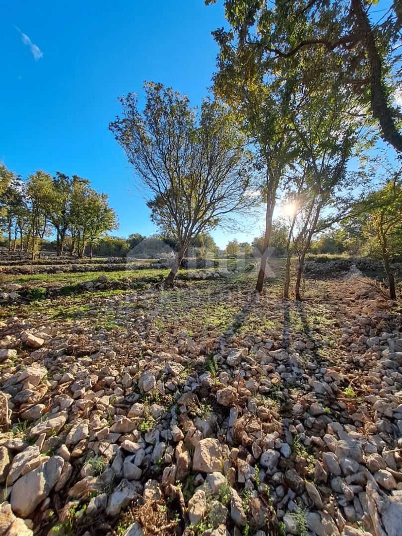 Terreno Šilo, Dobrinj, 363m2