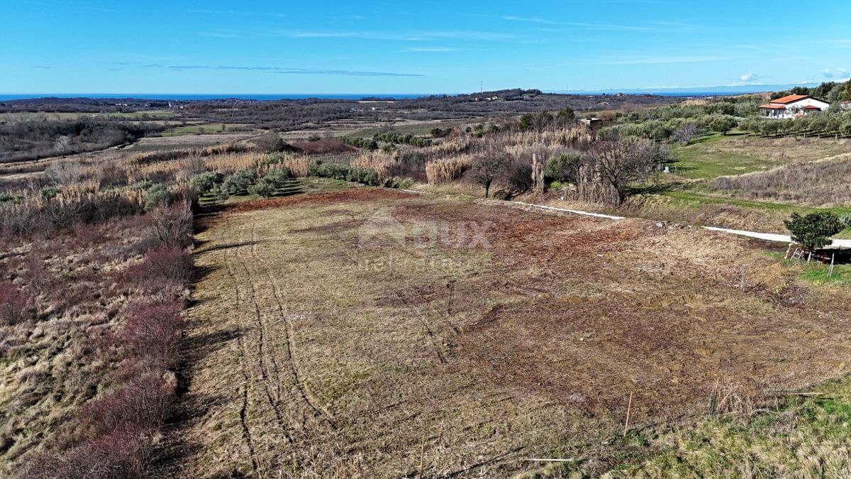 ISTRIA, BUJE - Terreno edificabile con vista panoramica