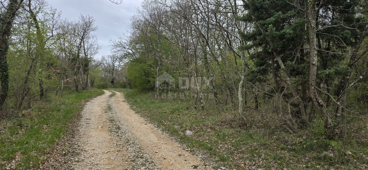 ISTRIA, KANFANAR - Ampio terreno agricolo di 17,5 ettari