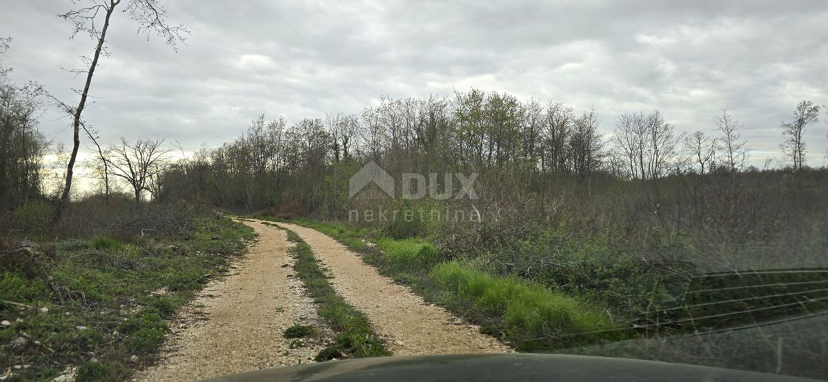 ISTRIA, KANFANAR - Ampio terreno agricolo di 17,5 ettari