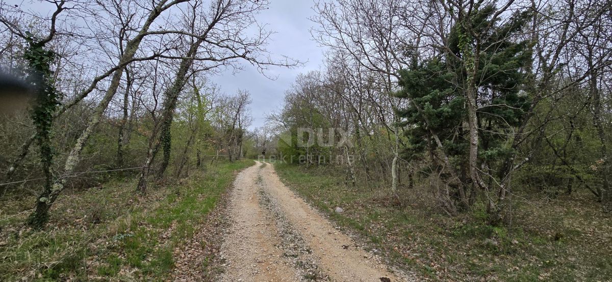 ISTRIA, KANFANAR - Ampio terreno agricolo di 17,5 ettari