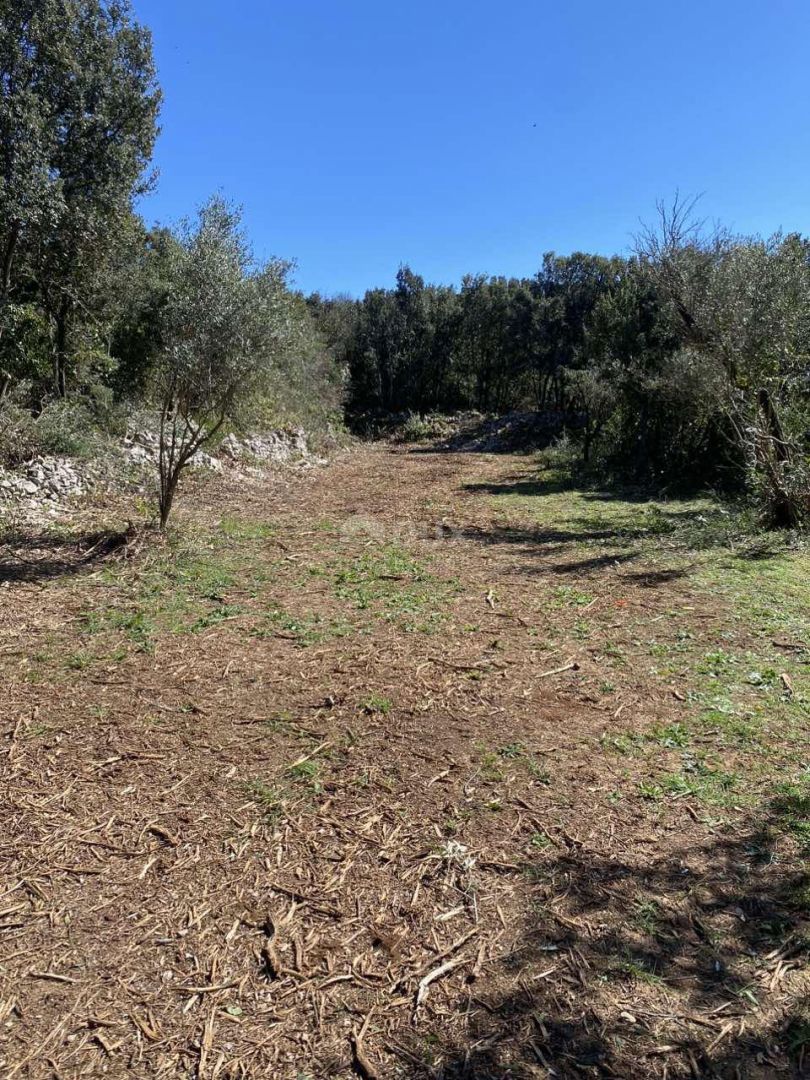 ISTRIA, LABIN (dintorni) - Terreno con vista mare