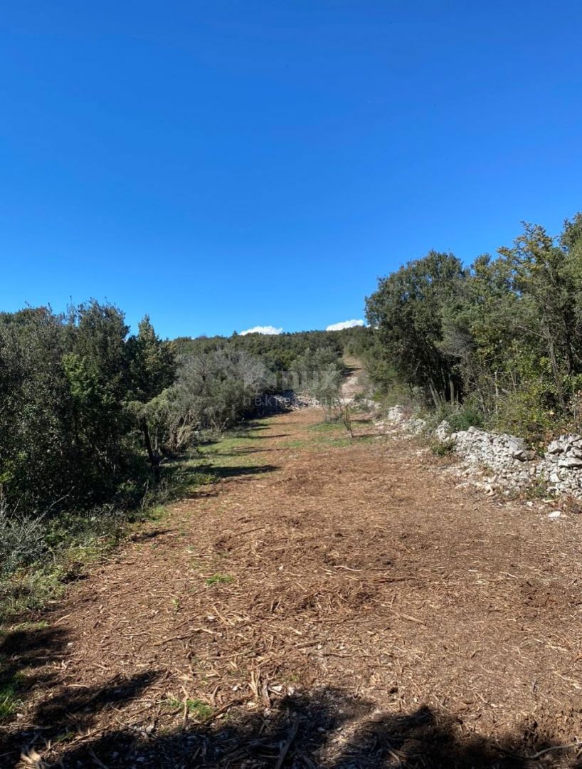 ISTRIA, LABIN (dintorni) - Terreno con vista mare