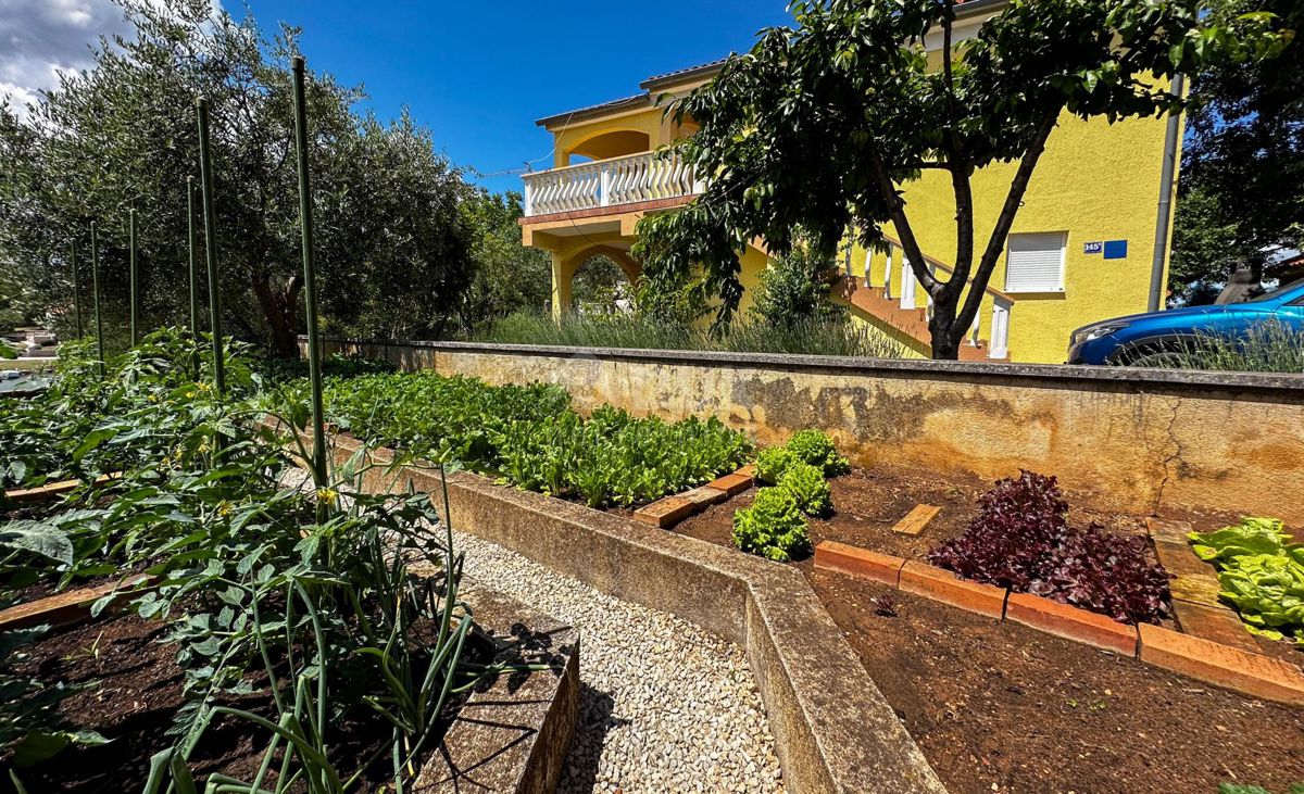 RIBNICA, OBROVAC - OCCASIONE! Casa 1a fila al mare + barca e posto barca