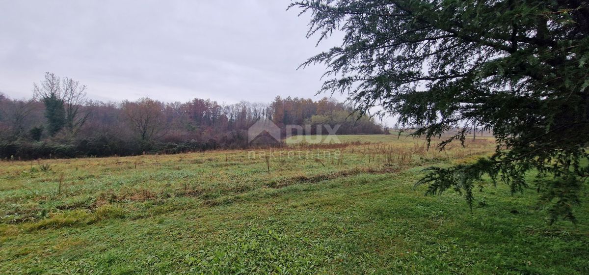 Terreno Heki, Pazin - Okolica, 40.871m2