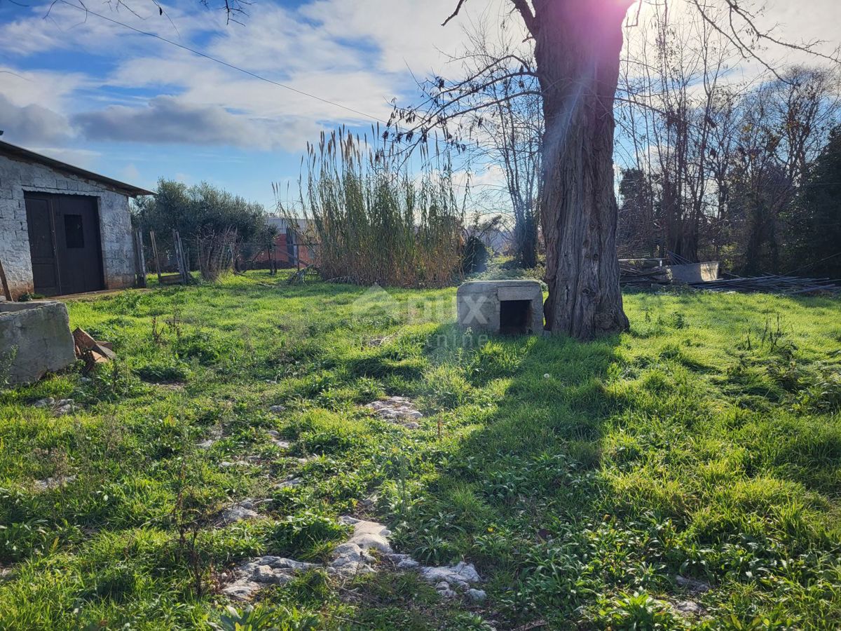 ISTRIA, UMAGO - Terreno edificabile attrezzato