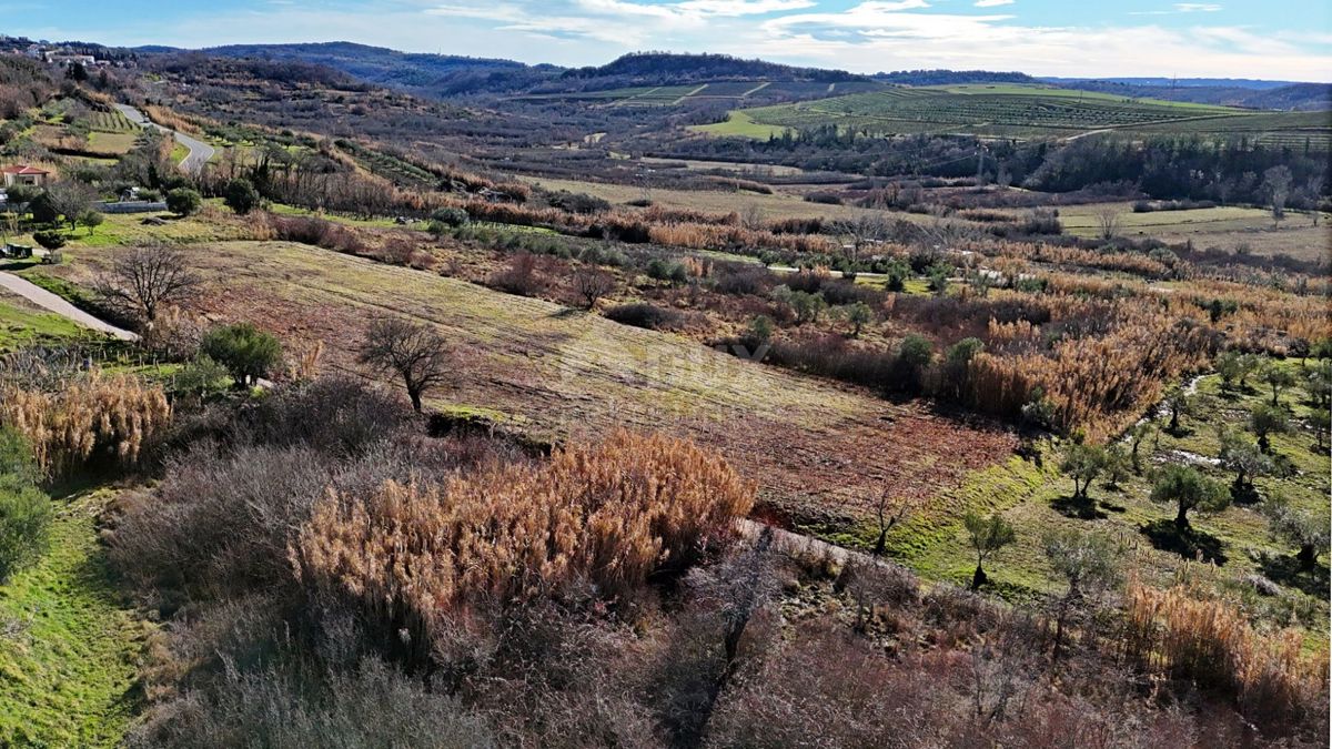 ISTRIA, BUJE - Terreno edificabile con vista panoramica