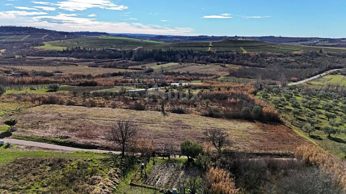 ISTRIA, BUJE - Terreno edificabile con vista panoramica