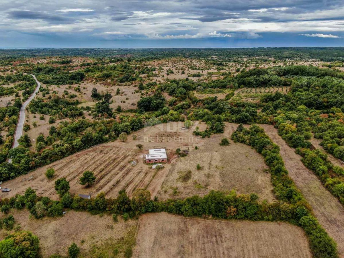 ISTRIA, BARBAN Una storia speciale su una bellissima tenuta! 