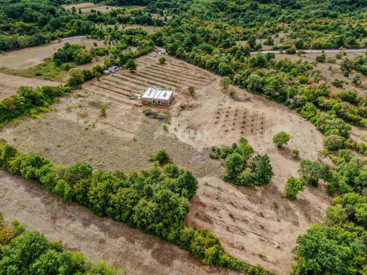 ISTRIA, BARBAN Una storia speciale su una bellissima tenuta! 