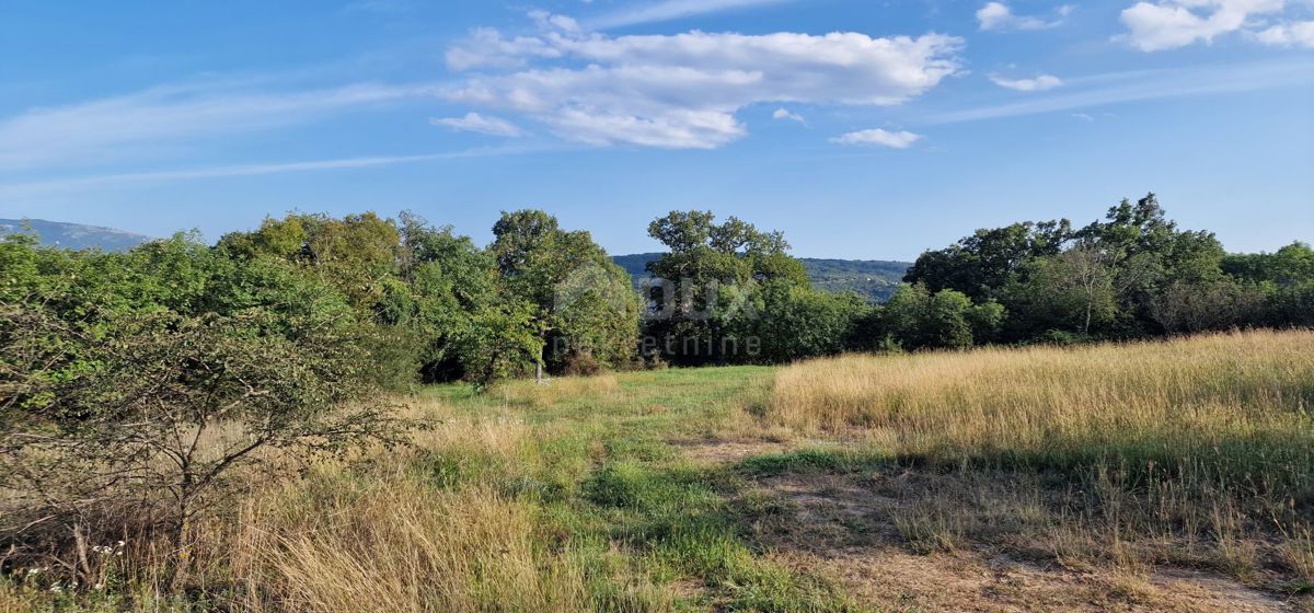 ISTRIA, PIĆAN - Bellissimo complesso di terreni edificabili e agricoli, vista sul Monte Maggiore - completa privacy