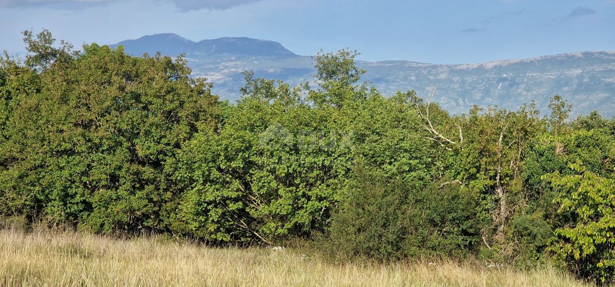 ISTRIA, PIĆAN - Bellissimo complesso di terreni edificabili e agricoli, vista sul Monte Maggiore - completa privacy