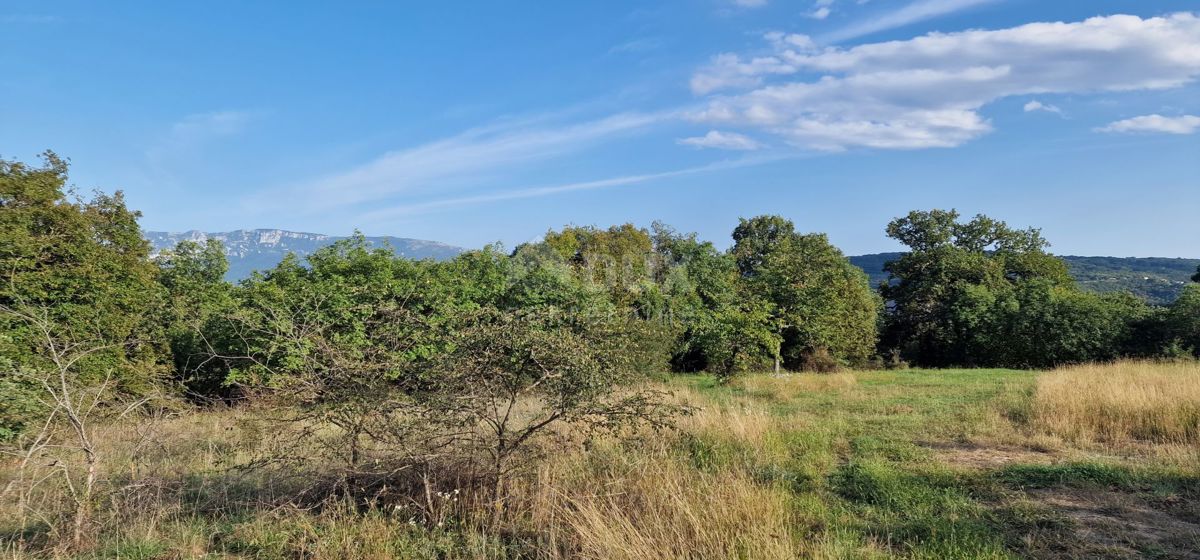 ISTRIA, PIĆAN - Bellissimo complesso di terreni edificabili e agricoli, vista sul Monte Maggiore - completa privacy