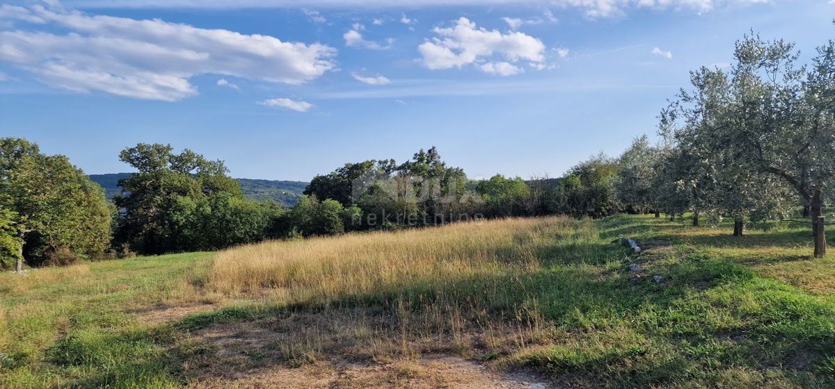 ISTRIA, PIĆAN - Bellissimo complesso di terreni edificabili e agricoli, vista sul Monte Maggiore - completa privacy