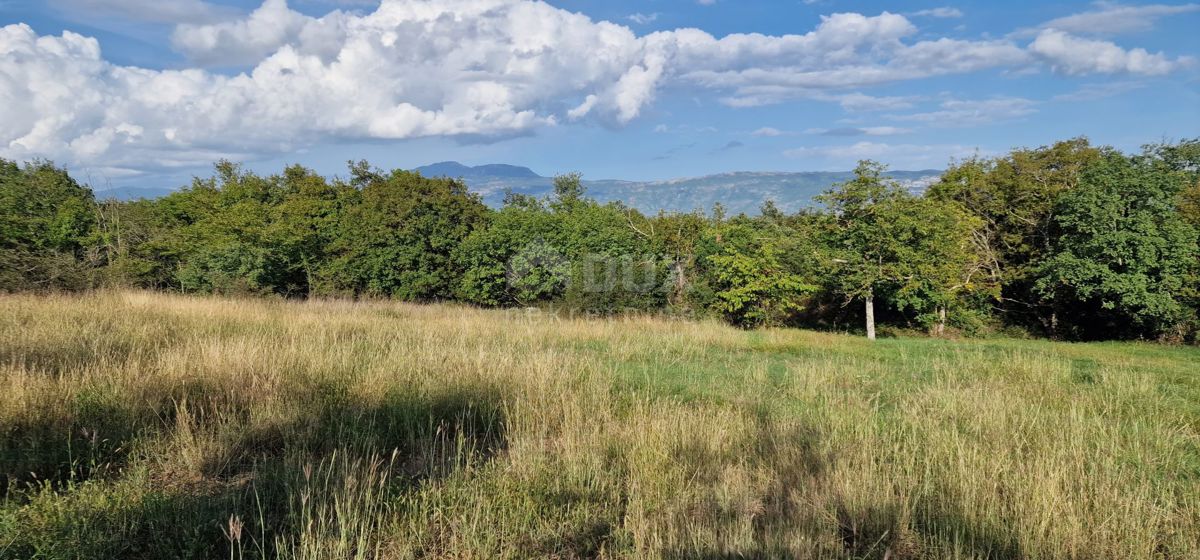 ISTRIA, PIĆAN - Bellissimo complesso di terreni edificabili e agricoli, vista sul Monte Maggiore - completa privacy