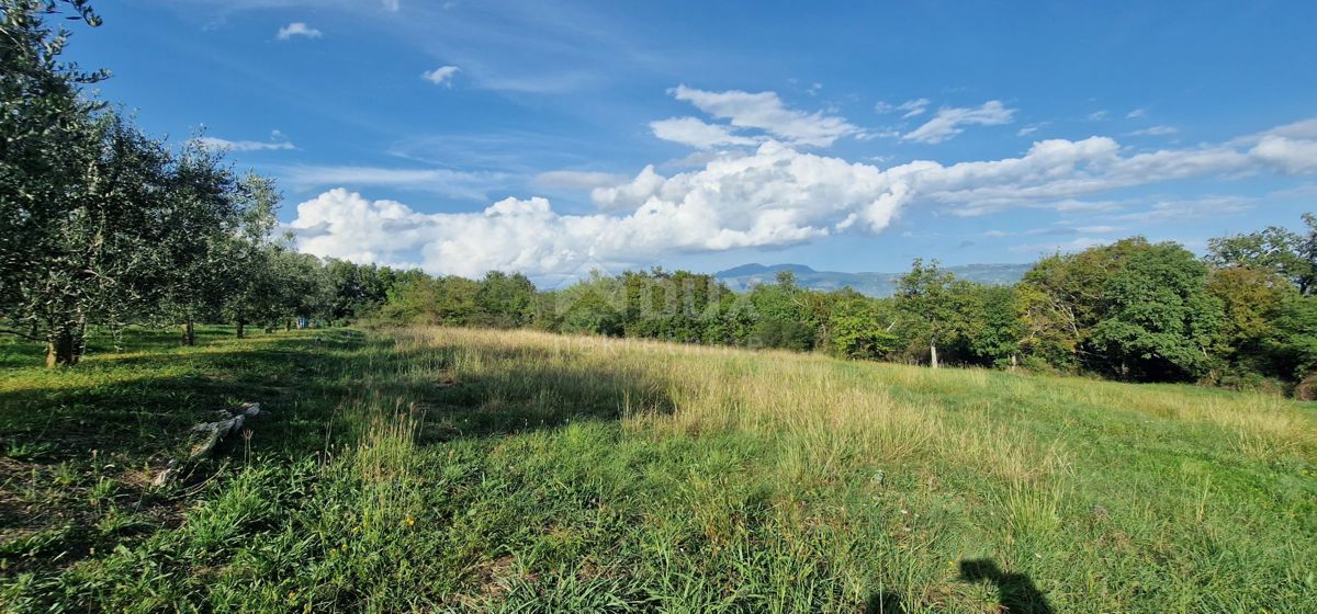 ISTRIA, PIĆAN - Bellissimo complesso di terreni edificabili e agricoli, vista sul Monte Maggiore - completa privacy