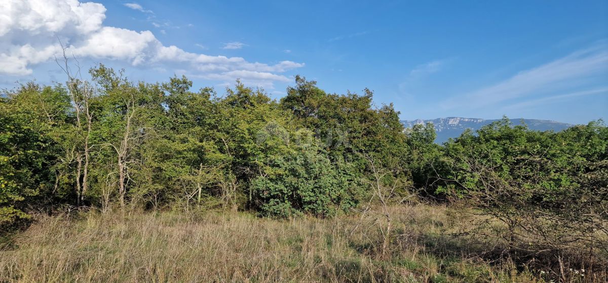 ISTRIA, PIĆAN - Bellissimo complesso di terreni edificabili e agricoli, vista sul Monte Maggiore - completa privacy