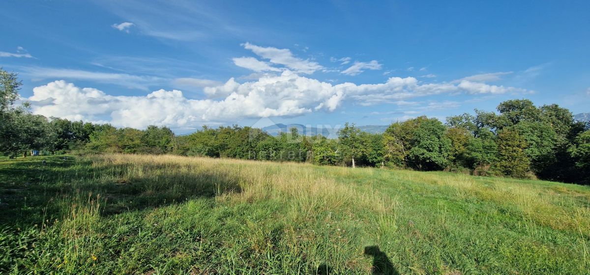 ISTRIA, PIĆAN - Bellissimo complesso di terreni edificabili e agricoli, vista sul Monte Maggiore - completa privacy