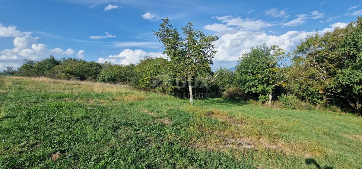 ISTRIA, PIĆAN - Bellissimo complesso di terreni edificabili e agricoli, vista sul Monte Maggiore - completa privacy