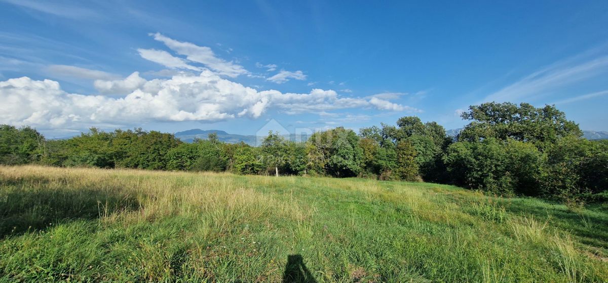 ISTRIA, PIĆAN - Bellissimo complesso di terreni edificabili e agricoli, vista sul Monte Maggiore - completa privacy