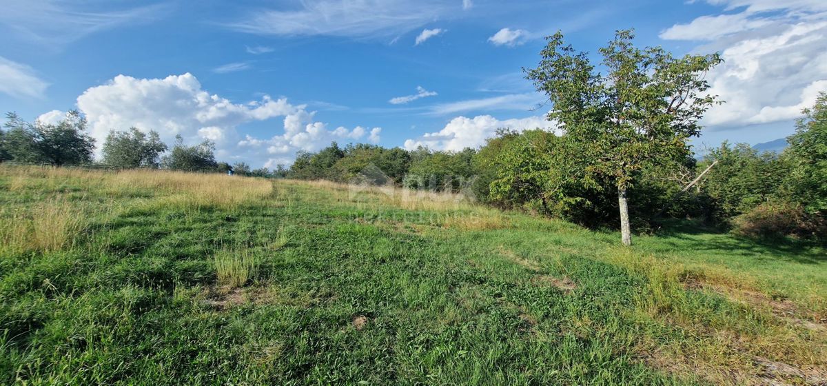 ISTRIA, PIĆAN - Bellissimo complesso di terreni edificabili e agricoli, vista sul Monte Maggiore - completa privacy