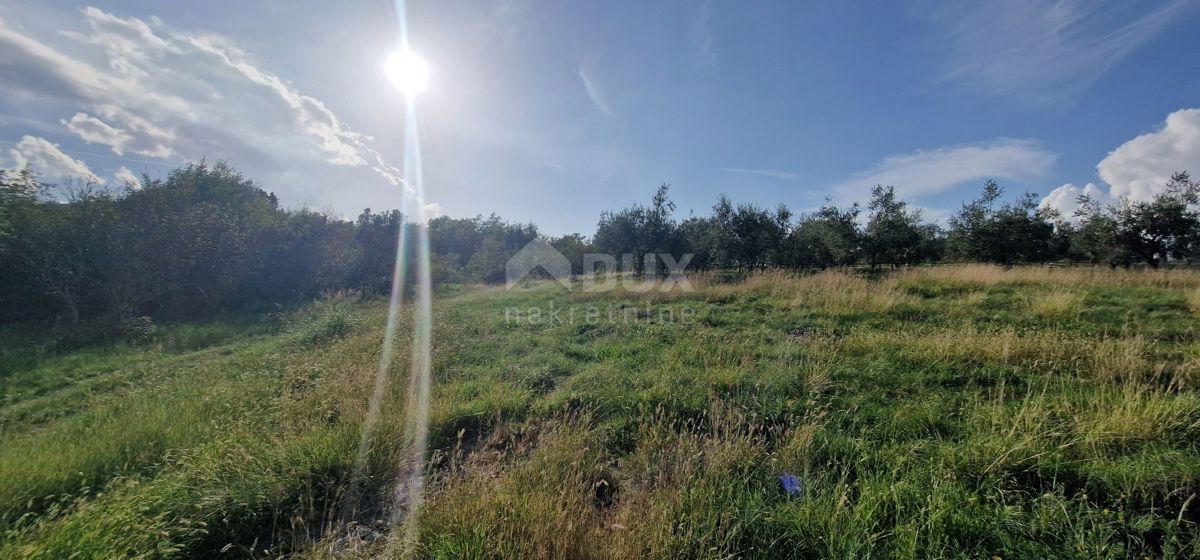 ISTRIA, PIĆAN - Bellissimo complesso di terreni edificabili e agricoli, vista sul Monte Maggiore - completa privacy