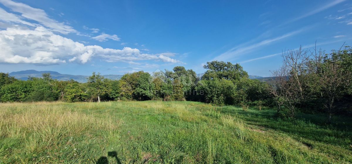 ISTRIA, PIĆAN - Bellissimo complesso di terreni edificabili e agricoli, vista sul Monte Maggiore - completa privacy