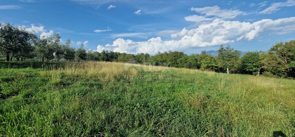 ISTRIA, PIĆAN - Bellissimo complesso di terreni edificabili e agricoli, vista sul Monte Maggiore - completa privacy