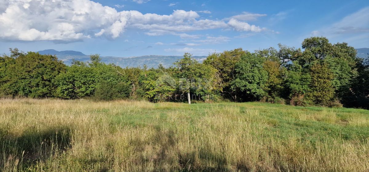 ISTRIA, PIĆAN - Bellissimo complesso di terreni edificabili e agricoli, vista sul Monte Maggiore - completa privacy