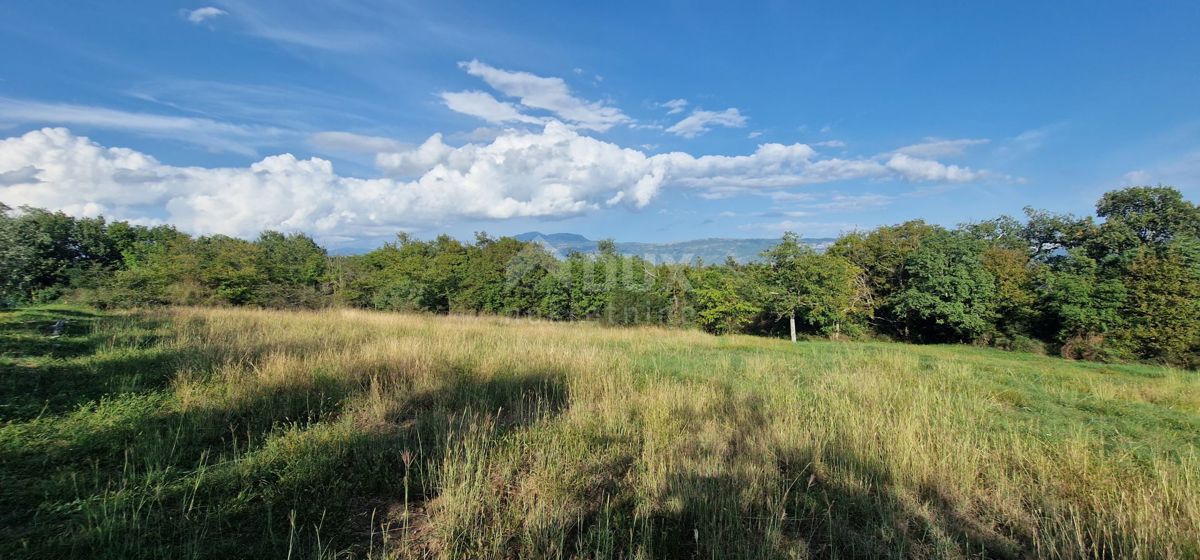 ISTRIA, PIĆAN - Bellissimo complesso di terreni edificabili e agricoli, vista sul Monte Maggiore - completa privacy