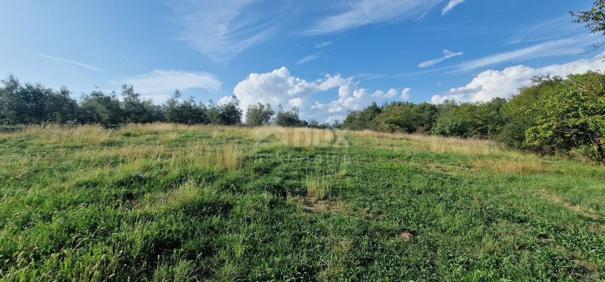 ISTRIA, PIĆAN - Bellissimo complesso di terreni edificabili e agricoli, vista sul Monte Maggiore - completa privacy