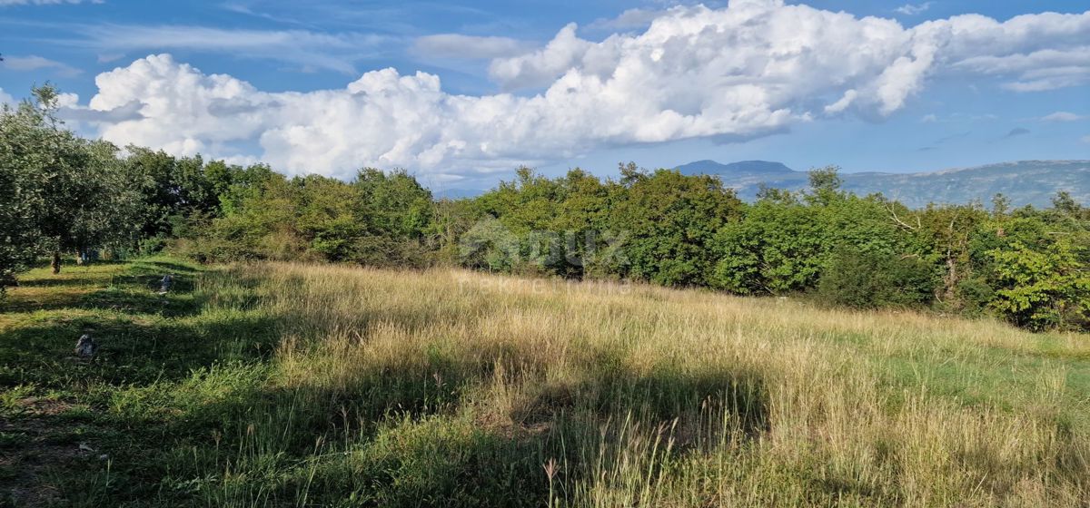 ISTRIA, PIĆAN - Bellissimo complesso di terreni edificabili e agricoli, vista sul Monte Maggiore - completa privacy