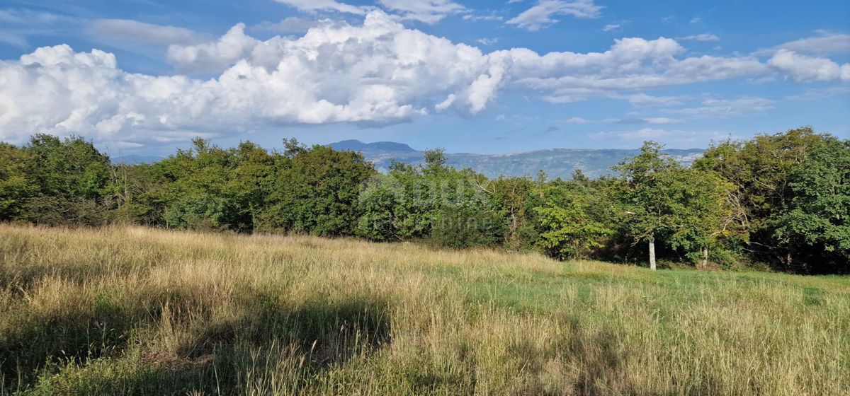 ISTRIA, PIĆAN - Bellissimo complesso di terreni edificabili e agricoli, vista sul Monte Maggiore - completa privacy