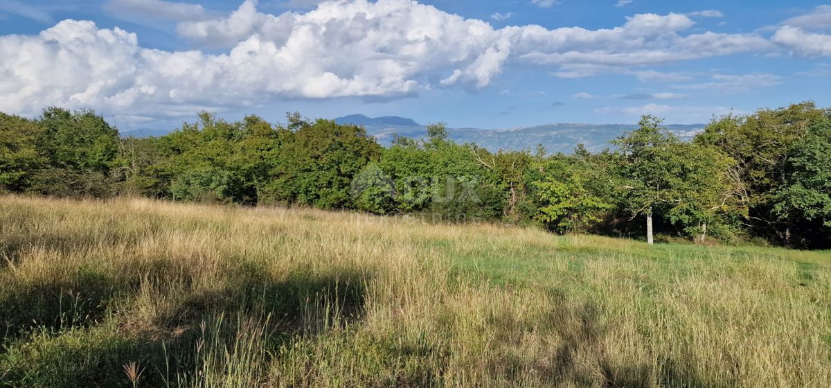 ISTRIA, PIĆAN - Bellissimo complesso di terreni edificabili e agricoli, vista sul Monte Maggiore - completa privacy