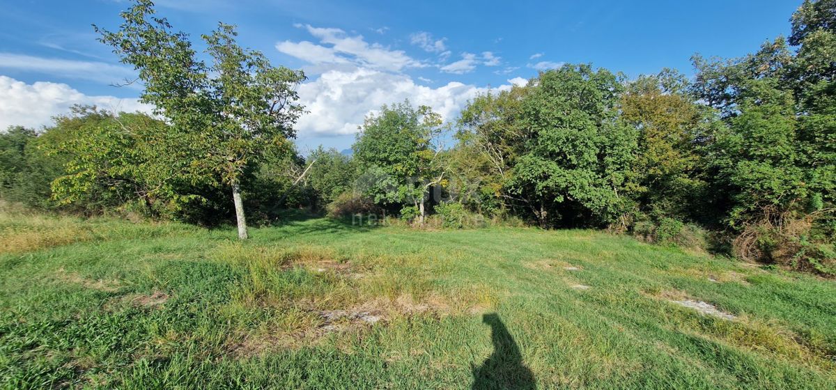 ISTRIA, PIĆAN - Bellissimo complesso di terreni edificabili e agricoli, vista sul Monte Maggiore - completa privacy