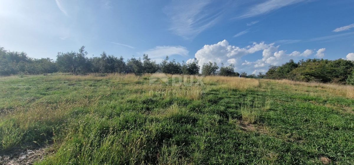 ISTRIA, PIĆAN - Bellissimo complesso di terreni edificabili e agricoli, vista sul Monte Maggiore - completa privacy