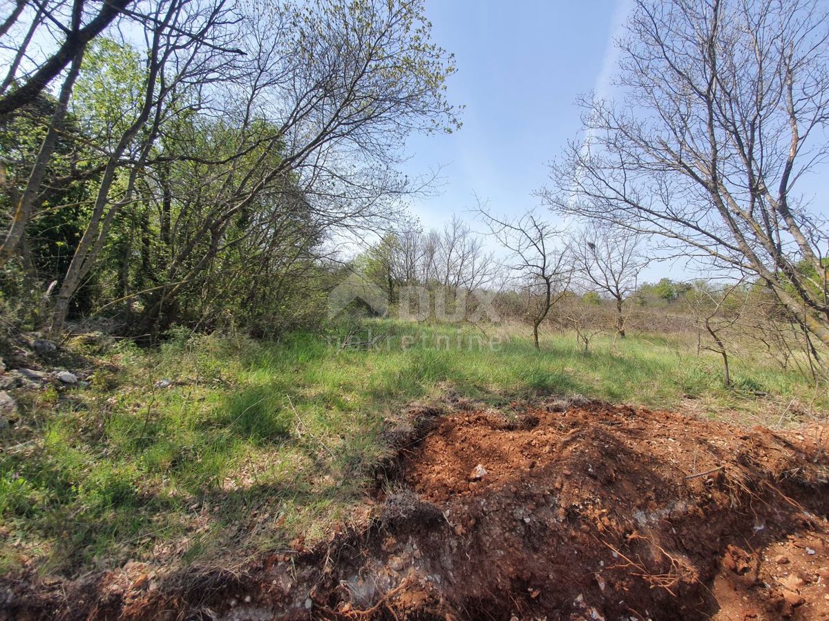 ISTRIA, MARČANA - Terreno edificabile ai margini del paese