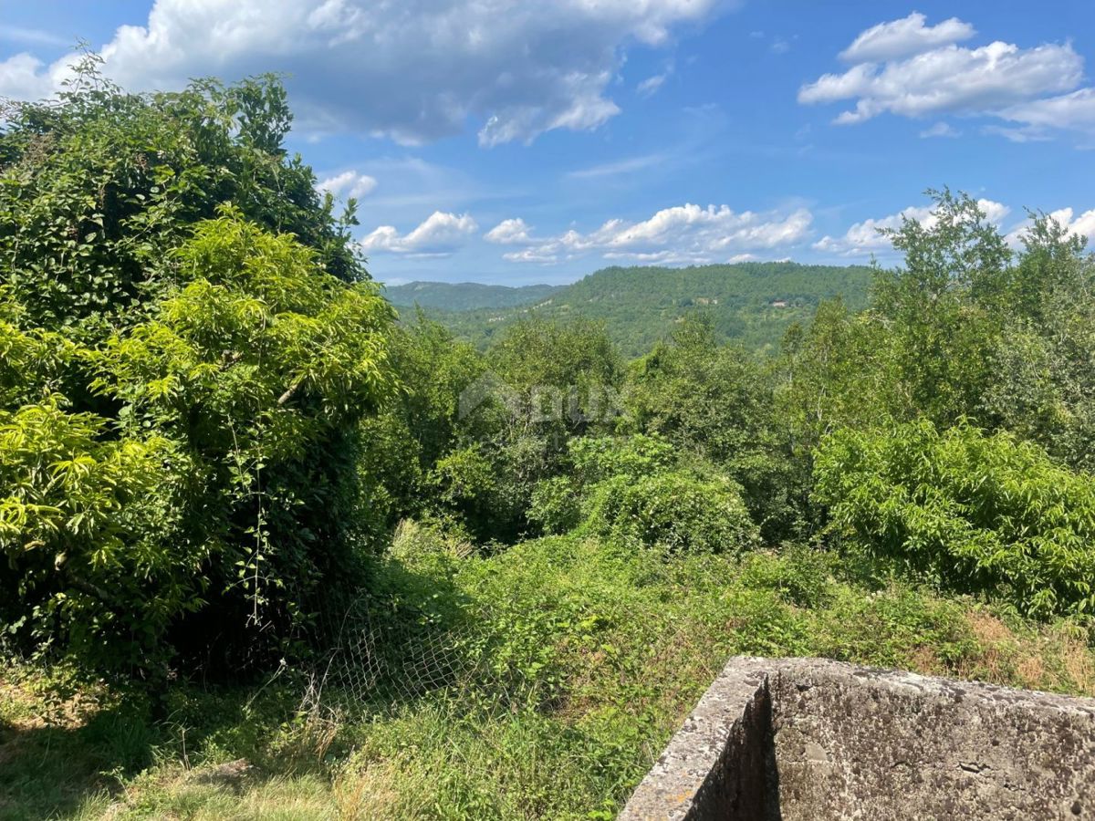 ISTRIA, PIĆAN - Una spaziosa proprietà di 2,2 ettari con una bellissima vista sul Monte Maggiore