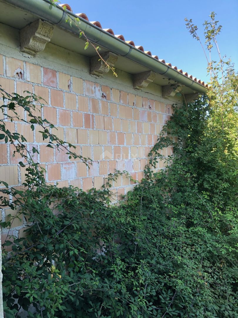 ISTRIA, PIĆAN - Una spaziosa proprietà di 2,2 ettari con una bellissima vista sul Monte Maggiore