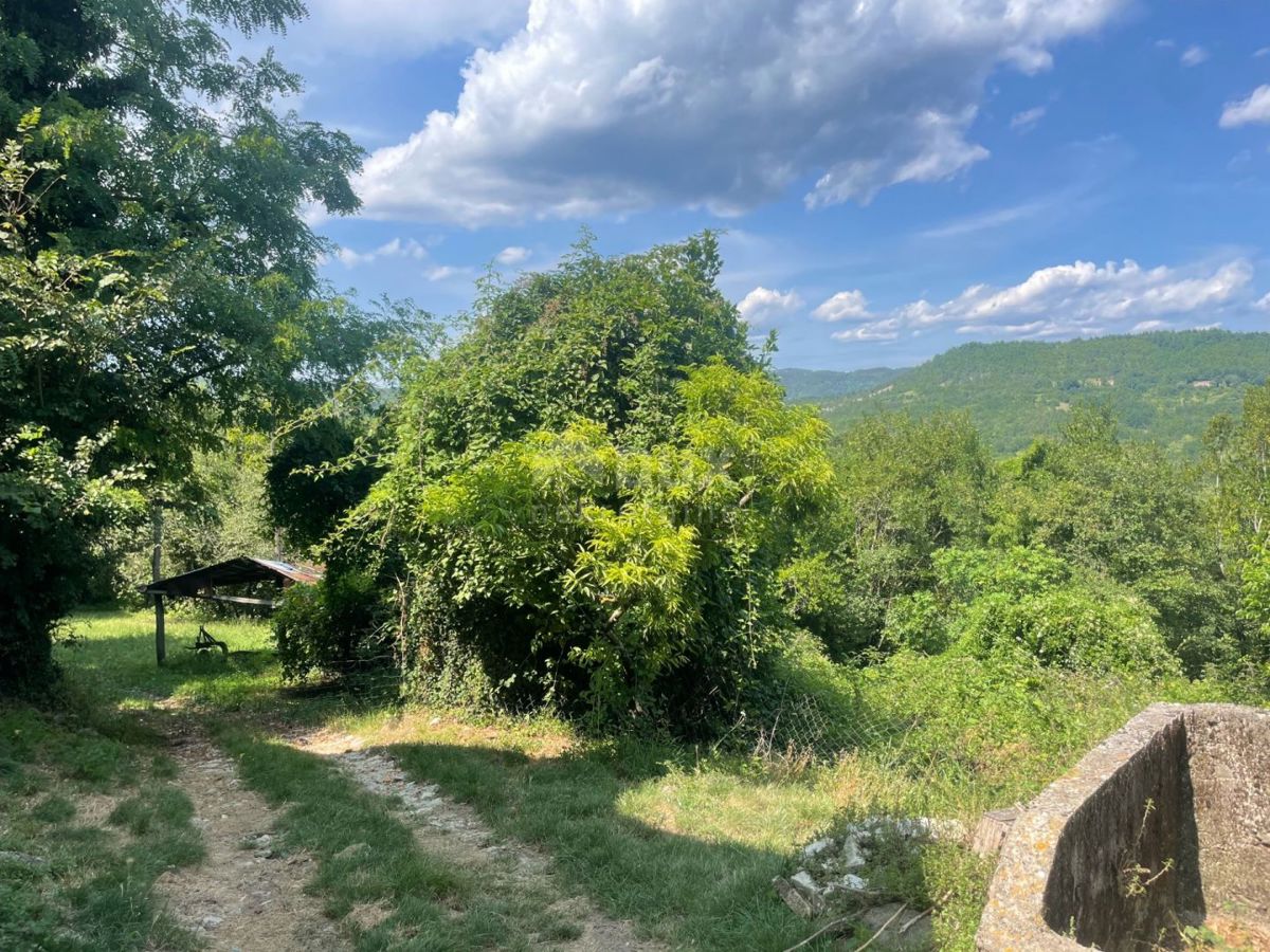 ISTRIA, PIĆAN - Una spaziosa proprietà di 2,2 ettari con una bellissima vista sul Monte Maggiore