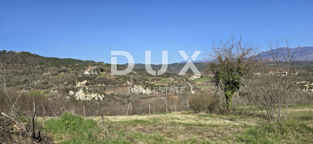 ISTRIA, PIĆAN - Villa con piscina in nuova costruzione